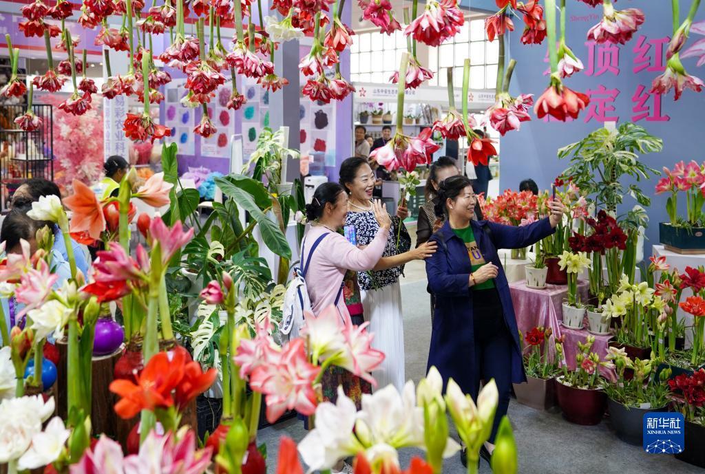 森林用什么游戏平台